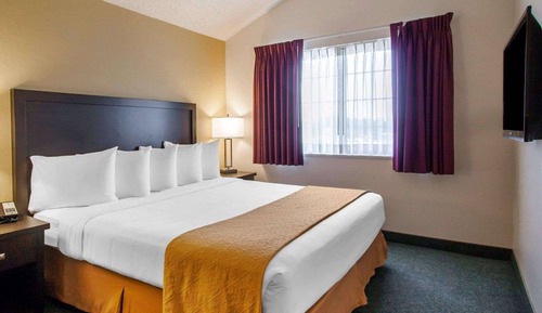 Suite, 1 King Bed with Sofa bed, Accessible, Non Smoking