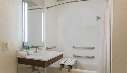Standard Room, 1 King Bed, Accessible (Roll-In Shower)