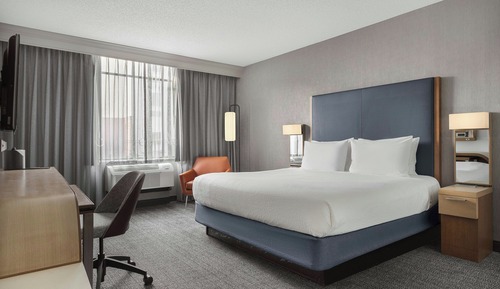 Room, 1 King Bed with Sofa bed (Hearing Accessible)