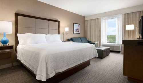 Room, 1 King Bed (Study, Sofabed)