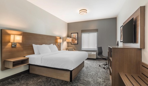 Standard Room, 1 King Bed, Accessible, Non Smoking