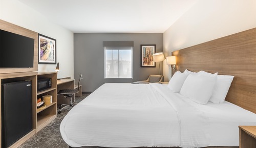 Standard Room, 1 King Bed, Non Smoking