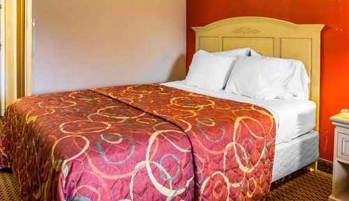 Room, 1 Double Bed, Non Smoking