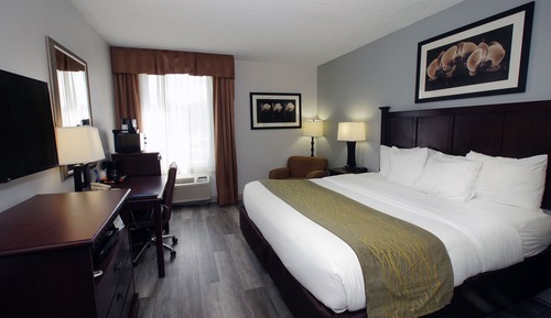 Standard Room, 1 King Bed, Non Smoking, Refrigerator & Microwave