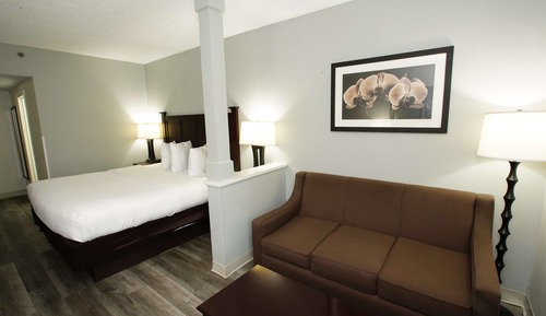 Suite, 1 Queen Bed, Accessible, Refrigerator & Microwave (with Sofabed)