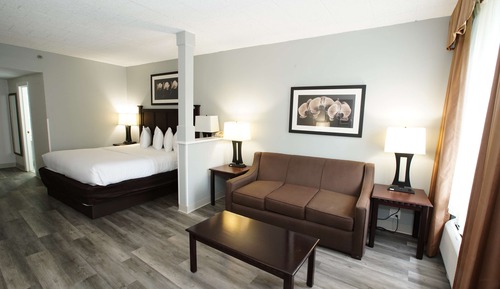 Standard Room, 1 King Bed, Accessible, Refrigerator & Microwave