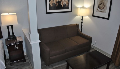 Suite, 1 King Bed, Non Smoking, Refrigerator & Microwave (with Sofabed)