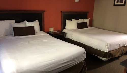 Standard Room, 2 Queen Beds