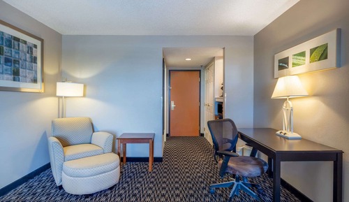 Room, 1 King Bed, Non Smoking (Pet-Friendly)