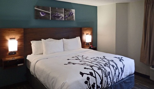 Room, 1 King Bed, Accessible, Non Smoking (Roll-In Shower)