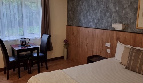 Classic Double Room Single Use, 1 Queen Bed