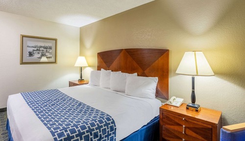 Standard Room, 1 King Bed, Non Smoking, Jetted Tub