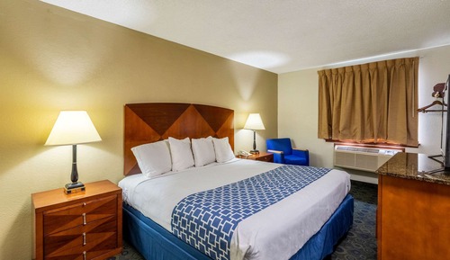 Standard Room, 1 King Bed with Sofa bed, Non Smoking