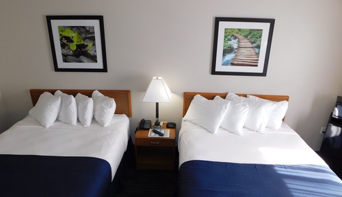 Standard Room, 2 Queen Beds