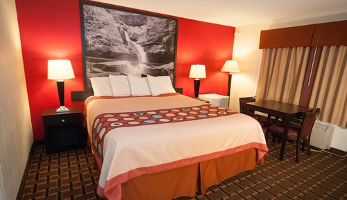 Room, 1 King Bed, Smoking