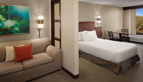 Room, 1 King Bed (High floor)