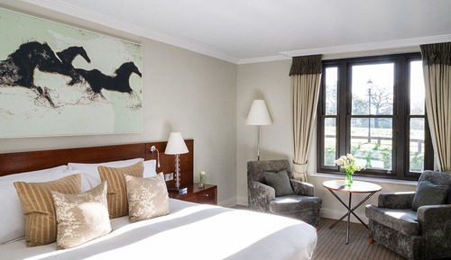 Superior Double / Twin with Feature