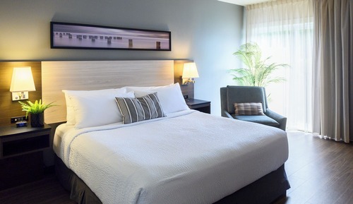 Standard Room, 1 King Bed, Accessible