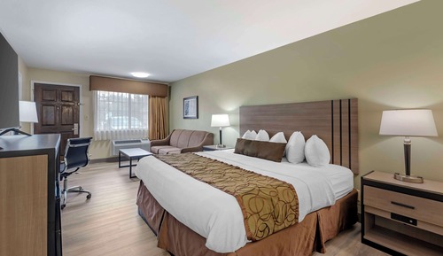 Standard Room, 1 King Bed, Non Smoking, Refrigerator & Microwave (with Sofabed)