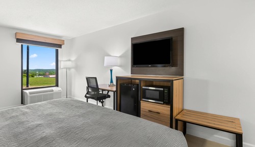 Standard Room, 1 King Bed, Non Smoking