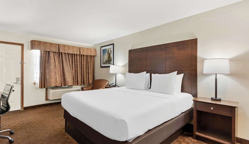 Standard Room, 1 King Bed, Non Smoking, Refrigerator & Microwave