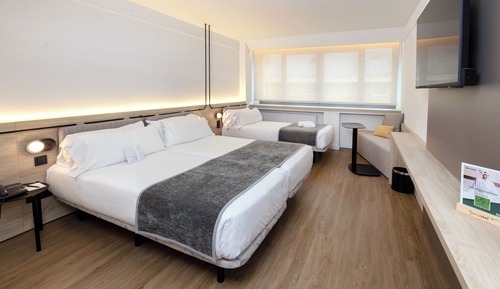 Classic Triple Room