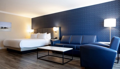 Business Room, 1 King Bed