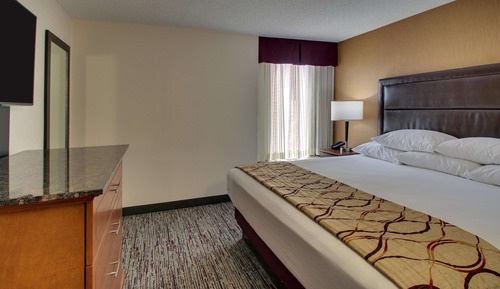 Suite, 1 King Bed with Sofa bed, Accessible (Sofa Sleeper, Tub, 2 Rooms)