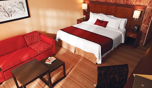 Room, 1 King Bed with Sofa bed (Mobility Accessible, Roll-In Shower)