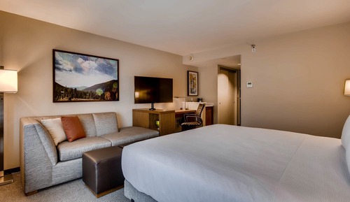 Room, 1 King Bed with Sofa bed