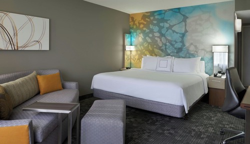 Room, 1 King Bed with Sofa bed