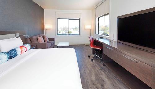 Room, 1 King Bed