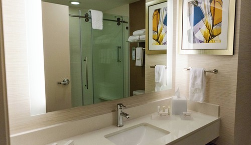 Room, 1 King Bed (Hearing Accessible)