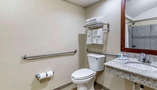 Standard Room, 1 King Bed, Accessible, Non Smoking