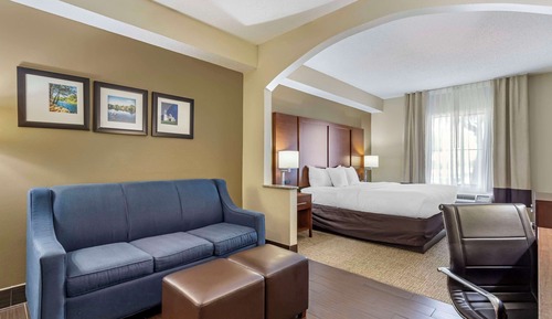 Standard Room, 1 King Bed, Non Smoking
