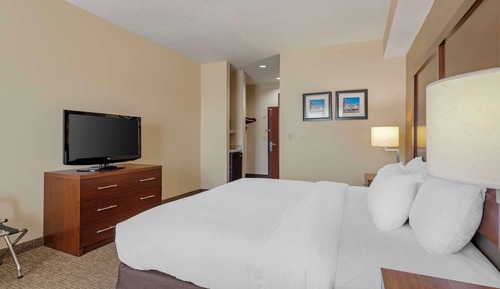 Standard Room, 1 King Bed, Non Smoking