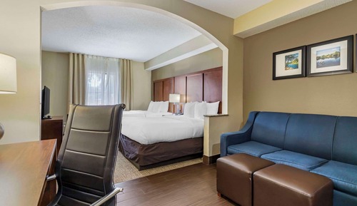 Standard Studio Suite, Multiple Beds, Non Smoking