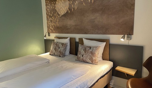 Standard Double Room (with Sleeping Couch)