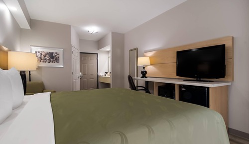 Standard Room, 1 King Bed, Non Smoking