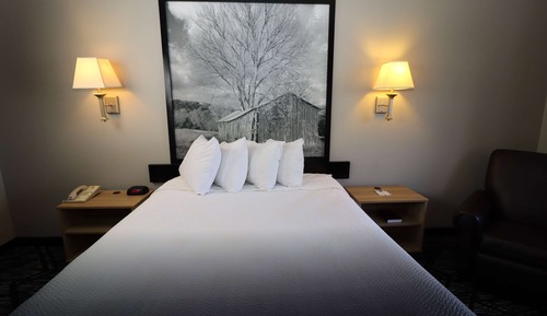 Standard Room, 1 Queen Bed, Refrigerator & Microwave