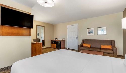 Standard Room, 1 King Bed, Non Smoking