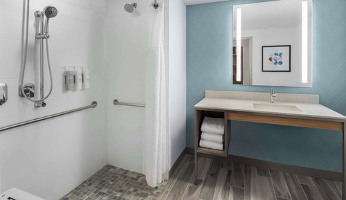 Room, 1 King Bed, Accessible (Roll-In Shower)