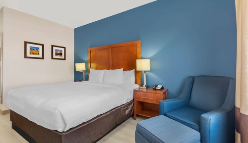 Standard Room, 1 King Bed, Non Smoking