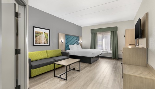Standard Room, 1 King Bed, Non Smoking, Refrigerator & Microwave