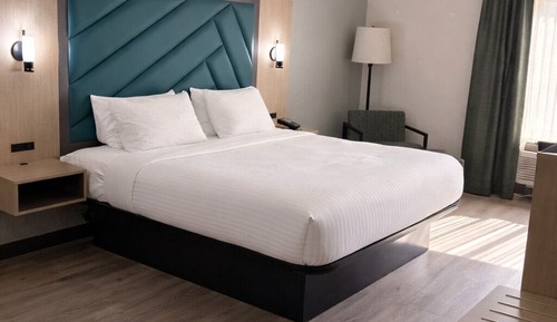 Standard Room, 1 King Bed, Non Smoking, Microwave