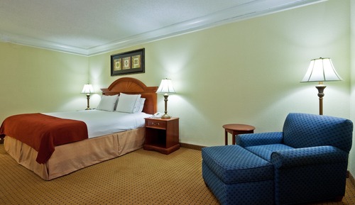 Suite, 1 King Bed with Sofa bed