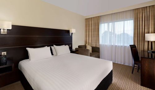 Queen Room , 1 Queen Bed