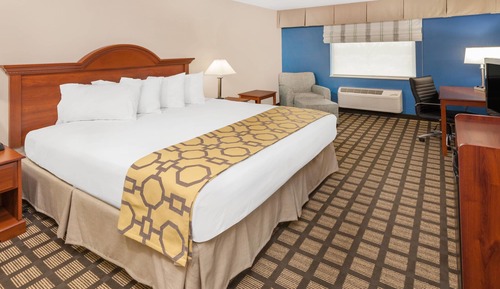 Room, 1 King Bed, Non Smoking
