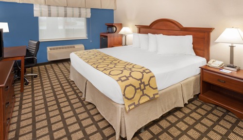 Room, 1 King Bed, Accessible, Non Smoking