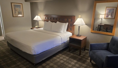 Standard Room, 1 King Bed, Non Smoking (Pet Friendly)